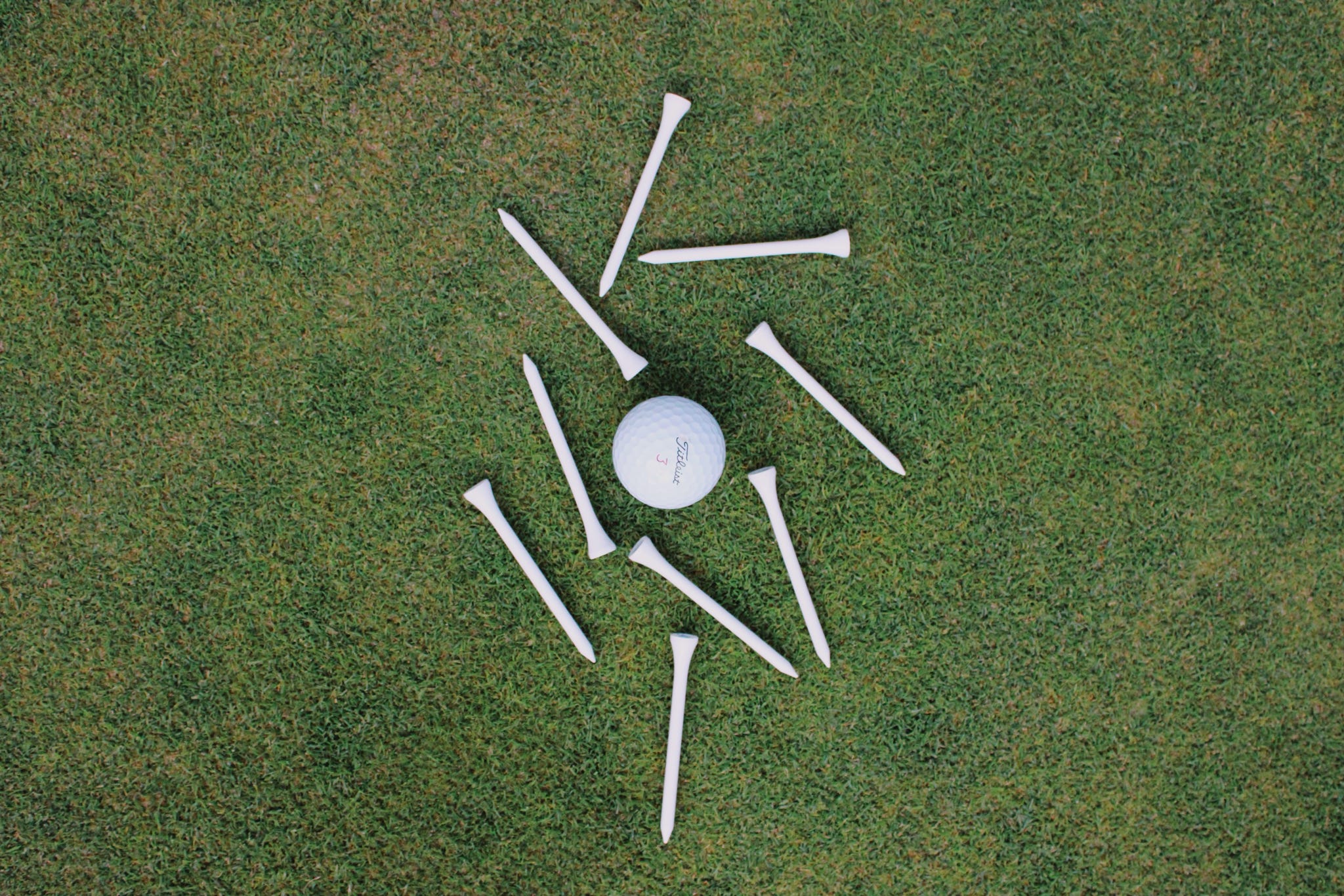 Hydrangea Blue Golf Tees
