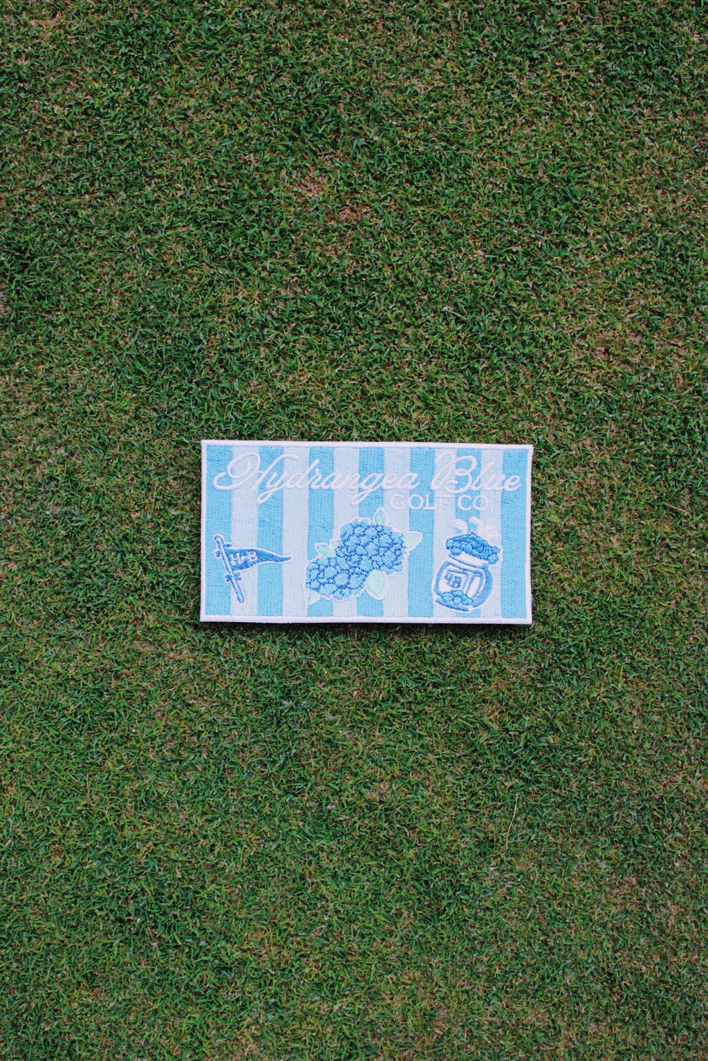 Hydrangea Blue Patches