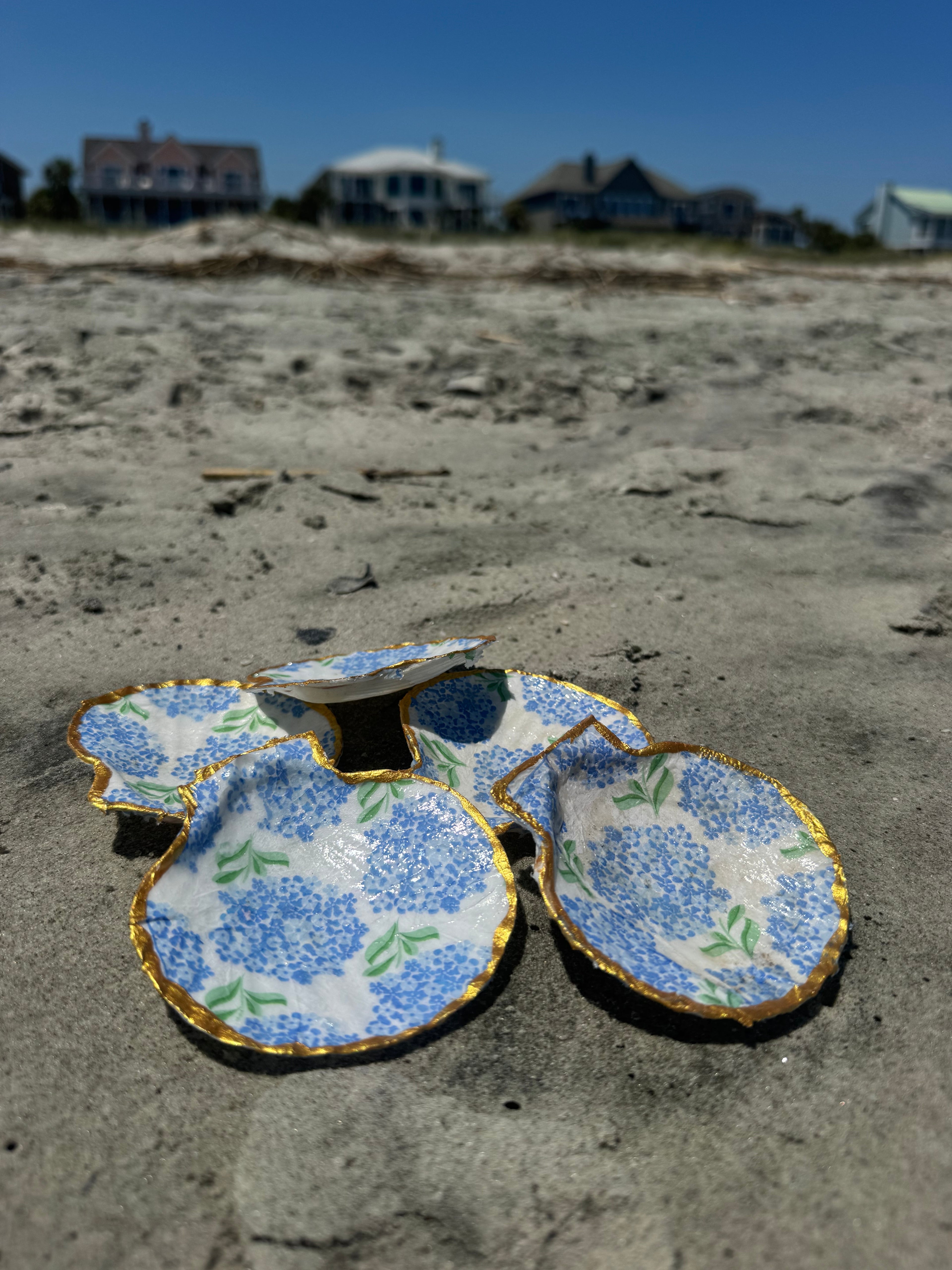 Hydrangea Sea Shells