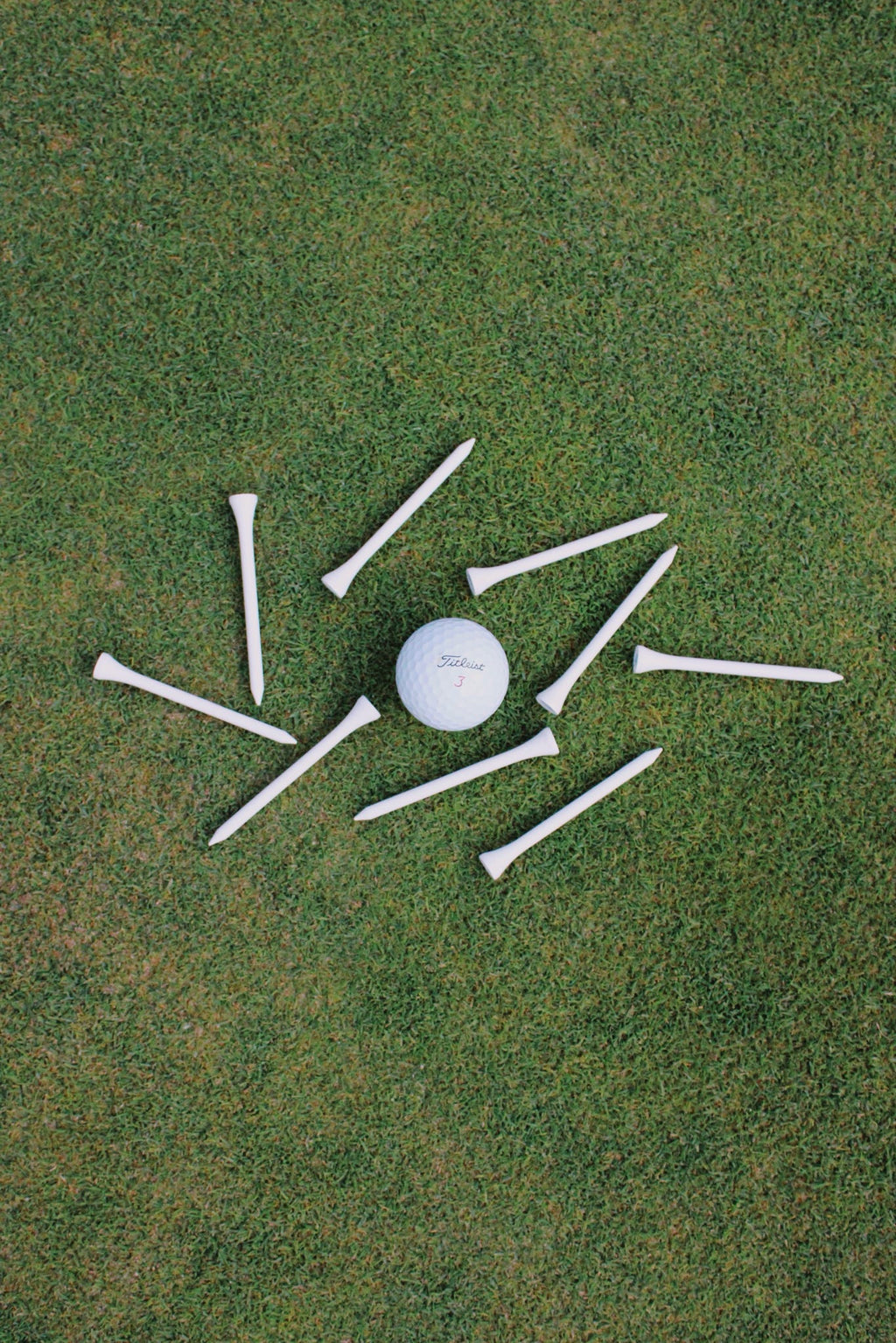 Hydrangea Blue Golf Tees