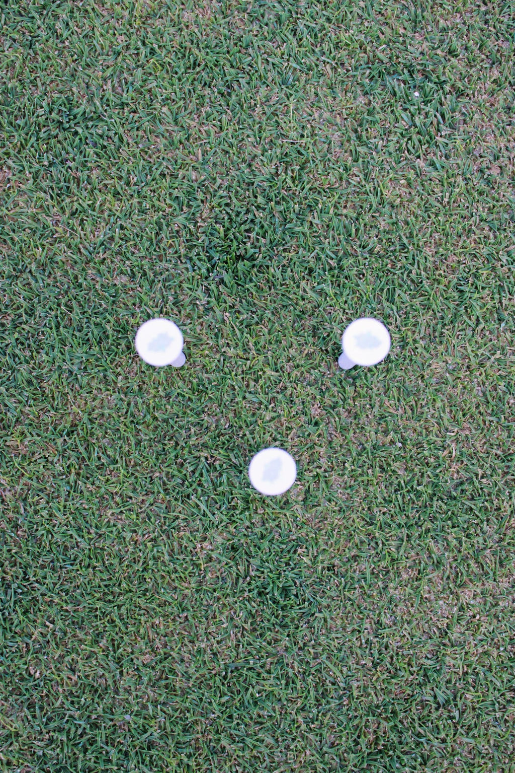 Hydrangea Blue Golf Tees