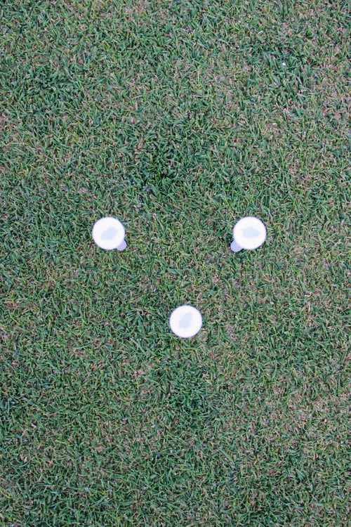 Hydrangea Blue Golf Tees