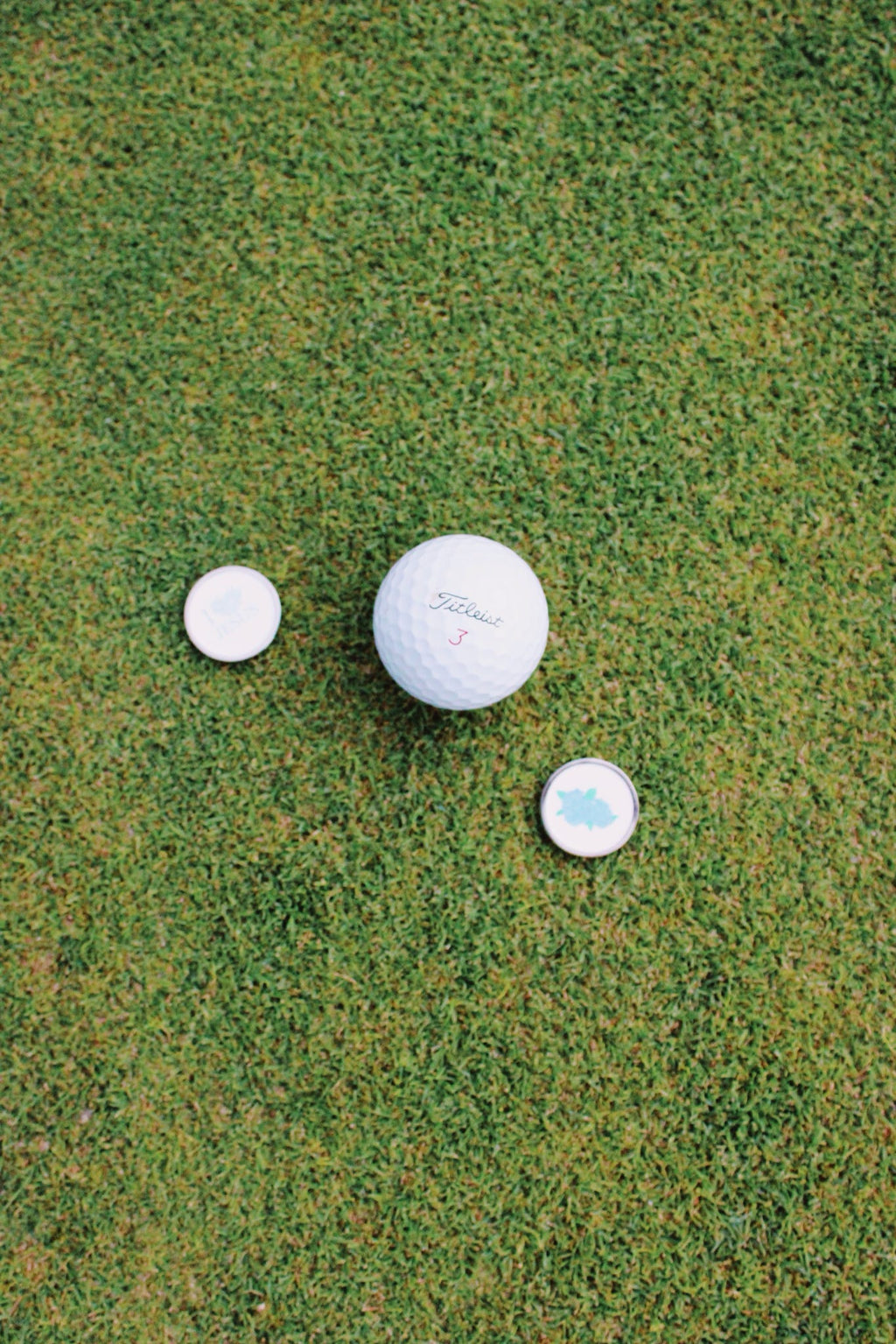 Hydrangea Blue Golf Ball Markers