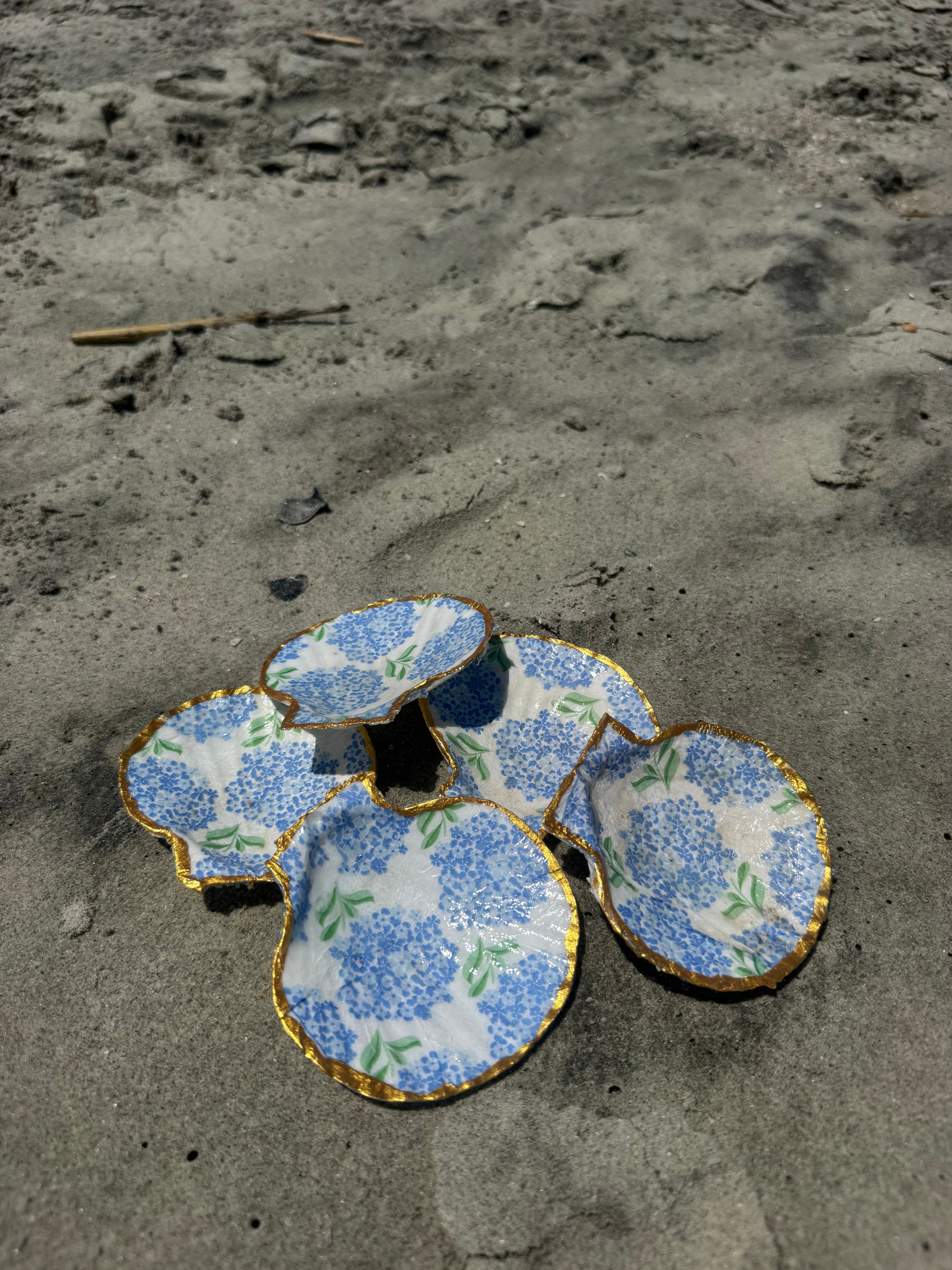 Hydrangea Sea Shells
