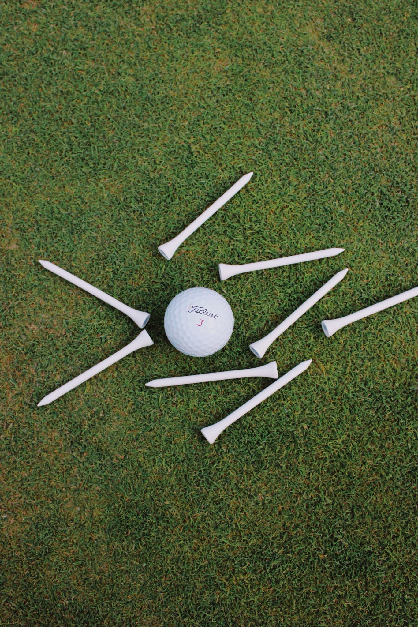 Hydrangea Blue Golf Tees