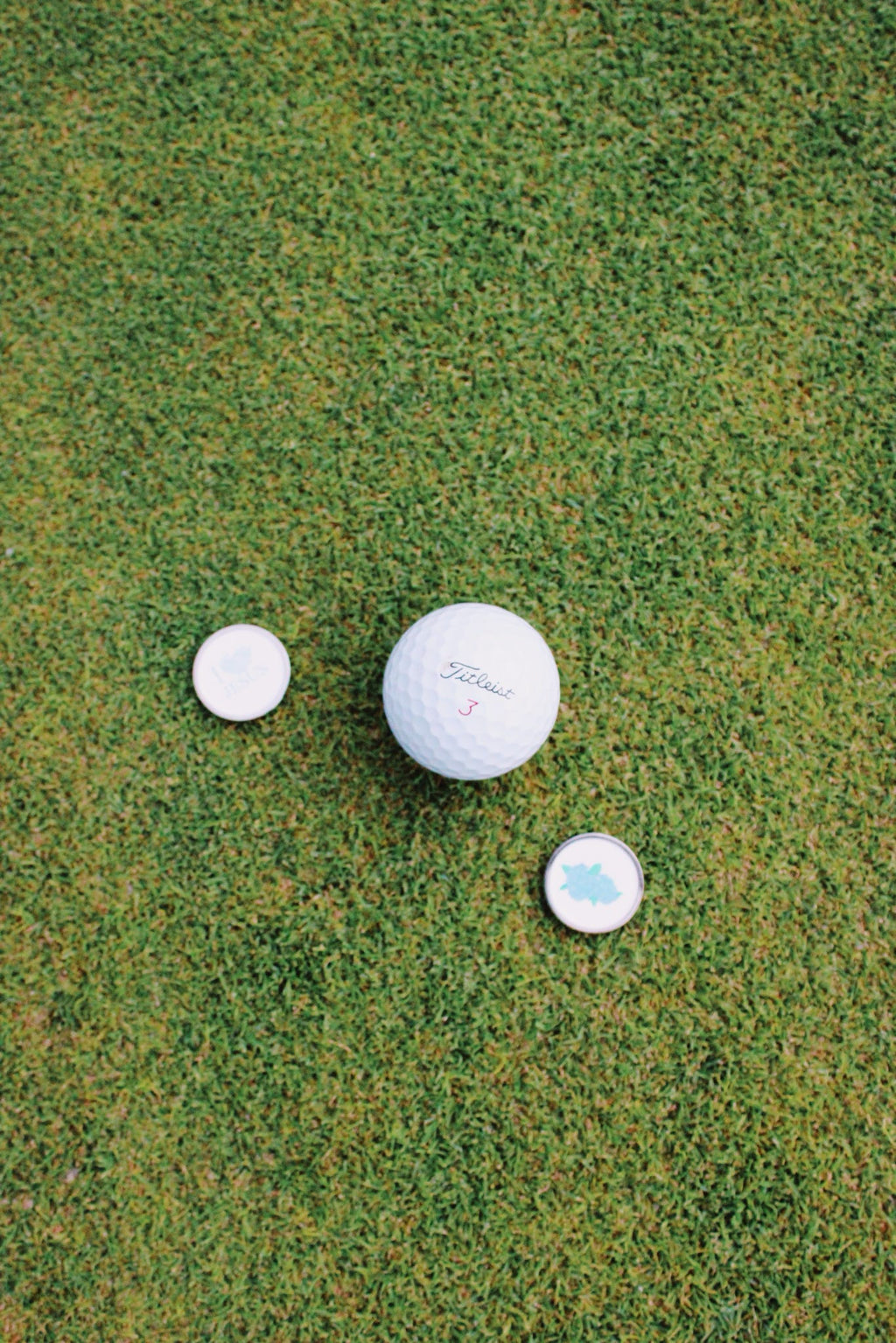 Hydrangea Blue Golf Ball Markers