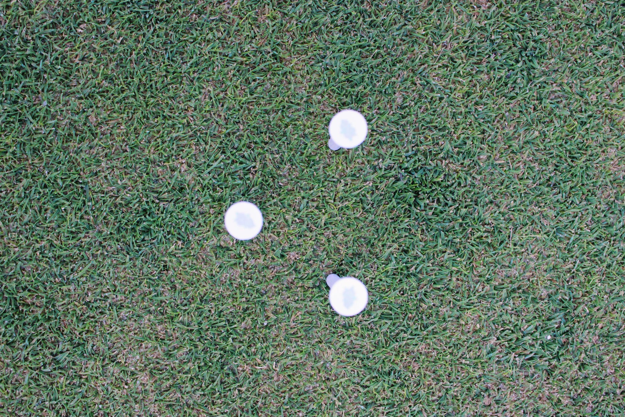 Hydrangea Blue Golf Ball Markers