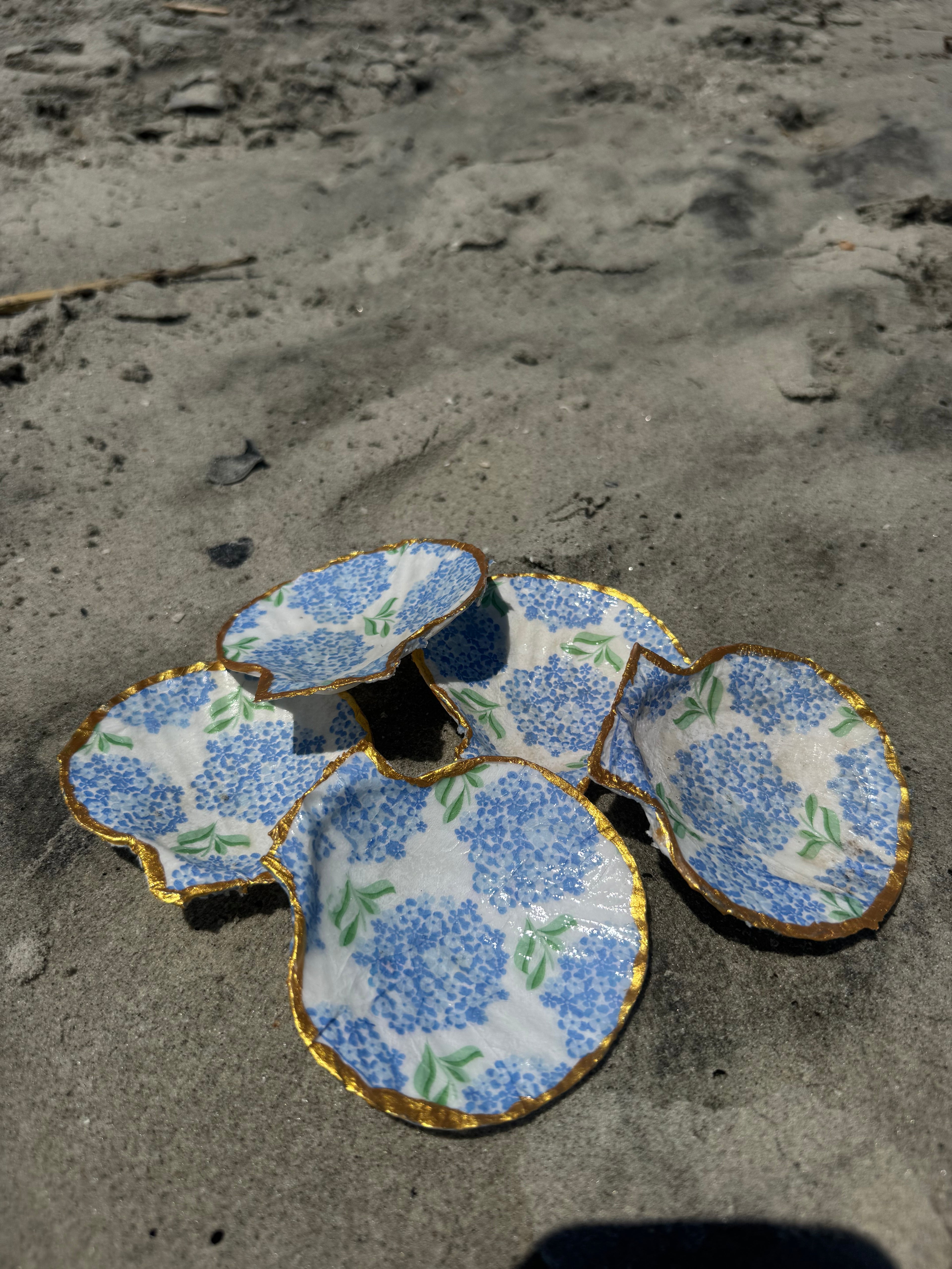 Hydrangea Sea Shells