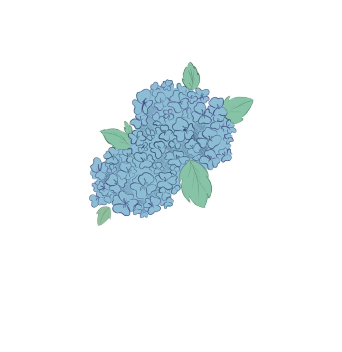 Hydrangea Blue Golf Co
